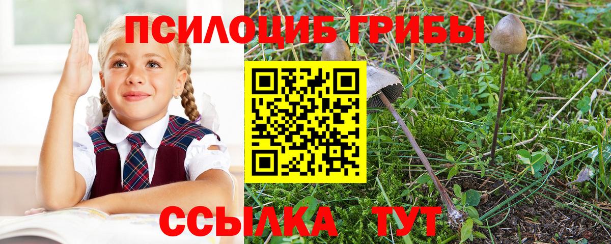 ЭКСТАЗИ  ГАШ  Канабис  MDMA  Вход с VPN  Кызыл  Меф кристаллы 