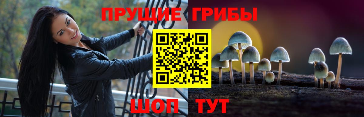 Галлюциногенные грибы прущие грибы Кызыл